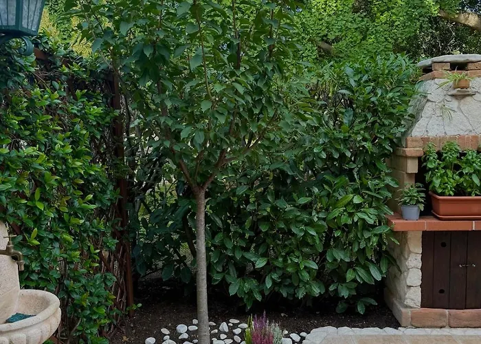 Marina Comfort Nei Pressi Del Palacongressi شقة